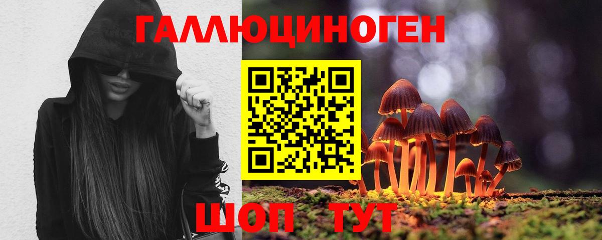 Галлюциногенные грибы прущие грибы Воскресенск